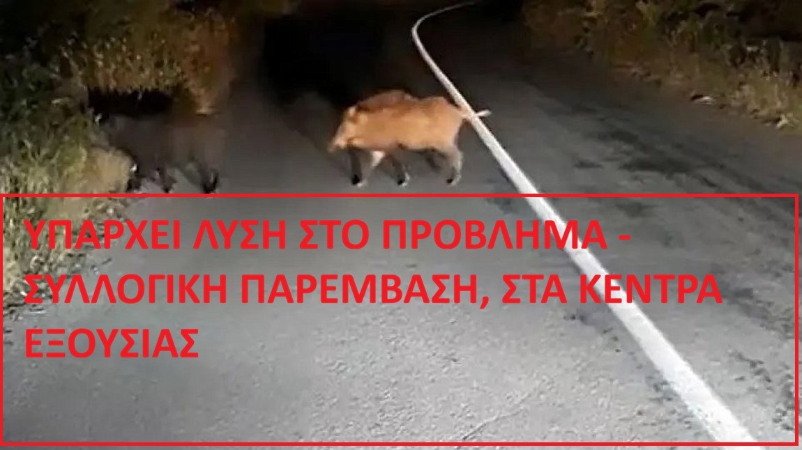 ΟΔΗΓΙΕΣ ΤΙ ΝΑ ΚΑΝΟΥΜΕ ΒΑΣΗ ΝΟΜΩΝ ΠΡΙΝ ΚΑΙ ΜΕΤΑ ΤΗΝ ΣΥΝΑΝΤΗΣΗ ΜΕ ΑΓΡΙΟΧΟΙΡΟΥΣ , ΣΤΟΝ ΔΡΟΜΟ Η ΣΤΟ ΚΤΗΜΑ ΜΑΣ.